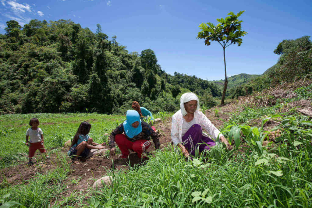 Philippinische Frauen arbeiten im Feld