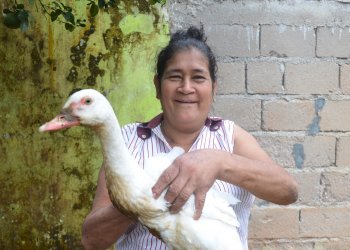 Kolumbien, Vicaria del Sur, Erfolgreiche Anmeldung