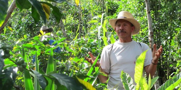 Die Biodiversität der Landwirtschaft in Guatemala muss erhalten bleiben. Sie ist ein Schlüsselelement für das Recht auf Nahrung.