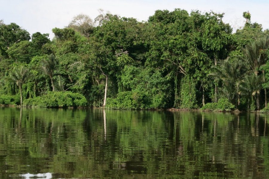 Brasilien Projekt CPISP, Amazonasgebiet. Bild: Fastenaktion