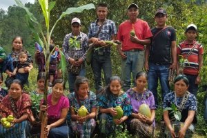 Eine Gruppe von Teilnehmer beim Workshop zu Saatgut in Guatemala