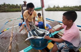 CERD, Kinder zeigen ihren Frang, Fische, Fischerboot