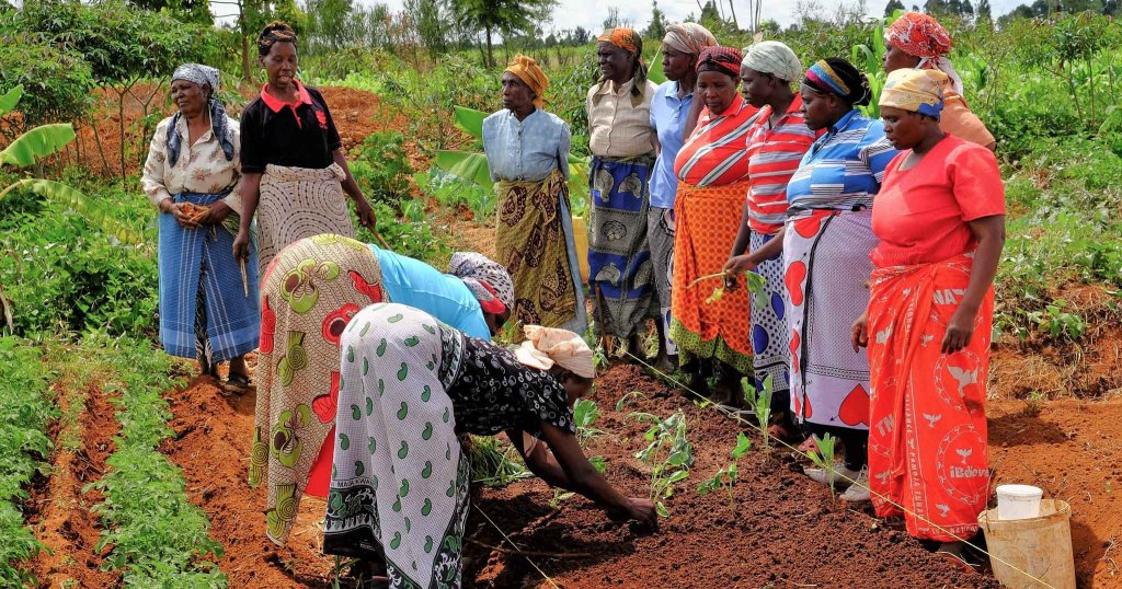Kenianische Bäuerinnen bepflanzen ein Feld.