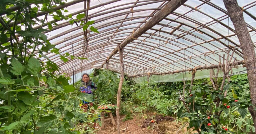 Die Küchengärten sichern den Zugang zu frischem Gemüse und Kohlenhydraten durch eine regional und saisonal angepasste Produktion.