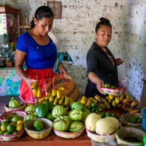 Zwei indigene Frauen in Guatemala schauen sich ihre Ernteerträge an