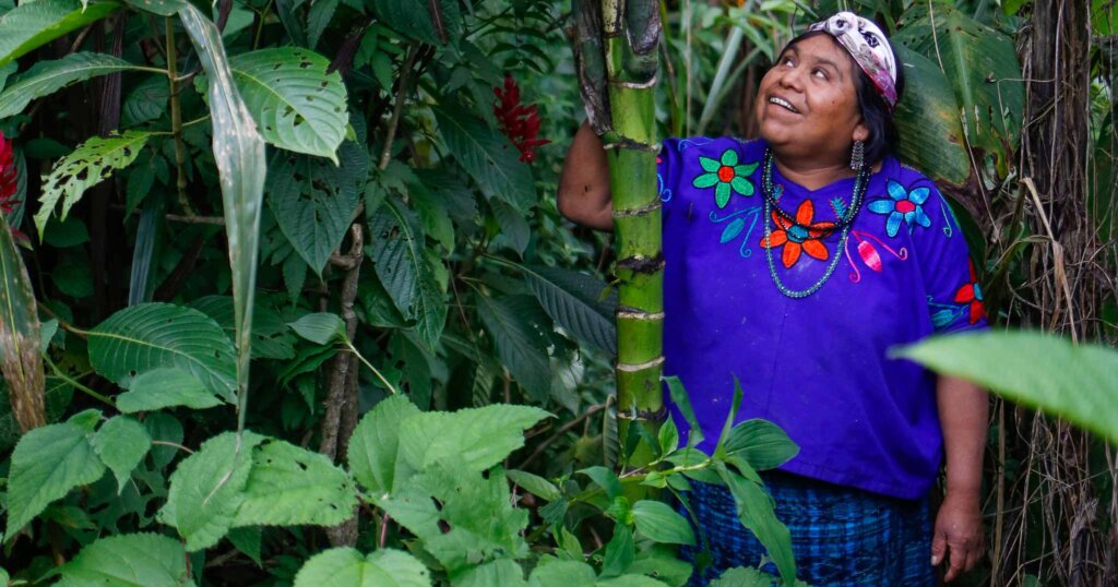 Eine Guatemaltekin steht und schaut auf den Ertrag in den Bäumen - Lebensgrundlagen in Guatemala sichern