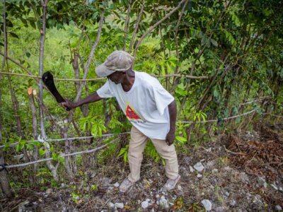 Odilon Ciel bei der Arbeit für die Aufforstung in Haiti.