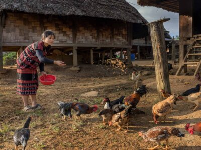 Tone füttert ihre Enten und Hühner in Ban Raro, Laos.