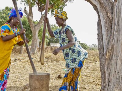 Dorfbewohnerinnen bei der Arbeit im Senegal.