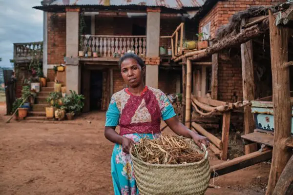 Aus dem Leben von Albertine