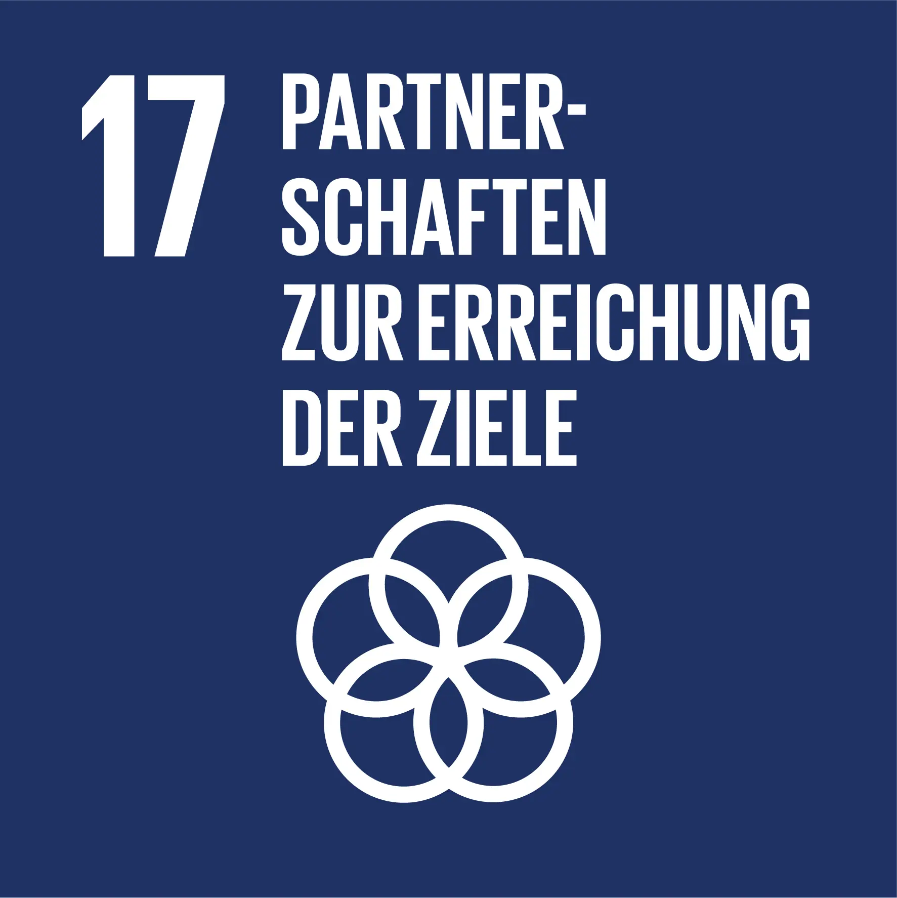 SDG Icon DE 17