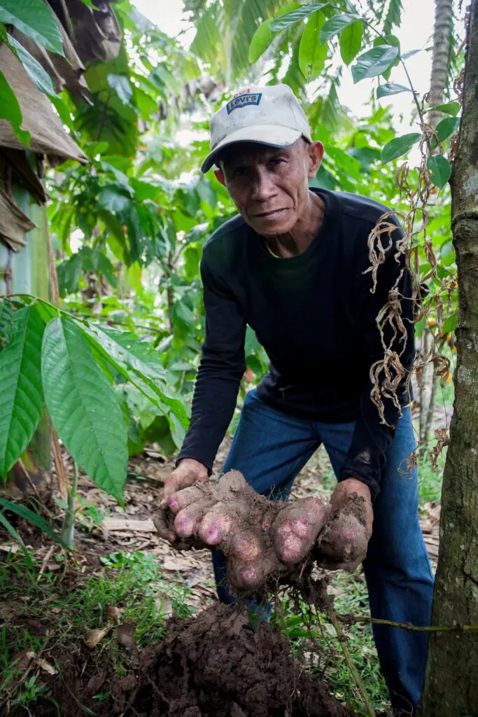 Ziele Philippinen LP