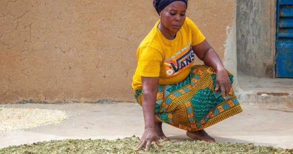 Bedrohung durch Klimaerwärmung und Chemikalien 