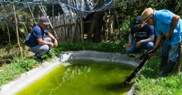 Wie wirkt sich das Projekt sonst noch auf das Leben der Beteiligten aus?