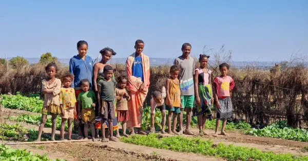 Solidaritätsgruppen und Agrarökologie als Ansätze