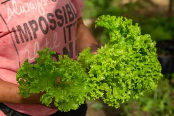 Zweite Chance im Leben