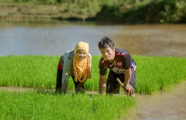 Auf keinen Fall Trump folgen