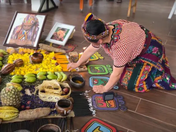 Drei Länder mit unterschiedlichen Herangehensweisen