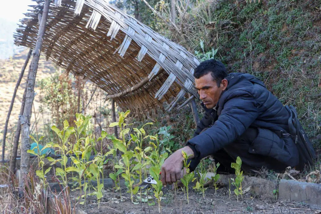 Beitrag Jay Bahadur Basnet
