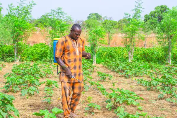 Herausforderung bei Regenwetter