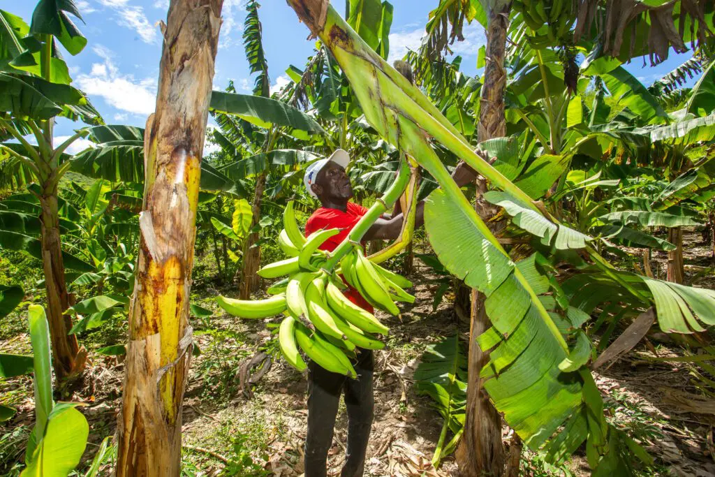 Etienne WHT Landingpage Slider 2