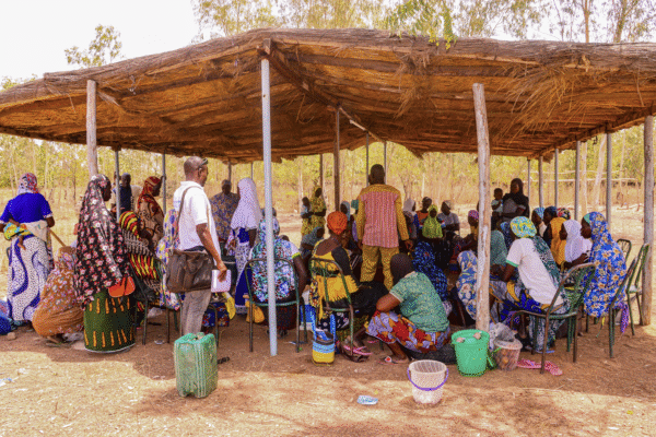 Mit viel Geduld dauerhafte Bindungen knüpfen