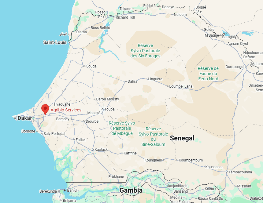 Die Bilddatei zeigt eine digitale Landkarte des westafrikanischen Landes Senegal, eingebettet in die Umgebung Westafrikas. Es handelt sich um eine Google-Maps-Darstellung mit politisch-geografischen Merkmalen sowie Naturreservaten.