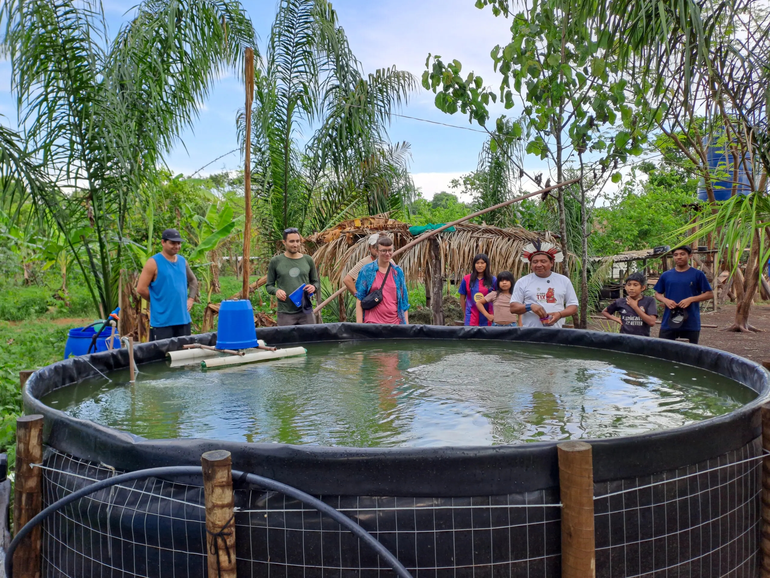 Setzlinge «verkochen» in der Erde 
