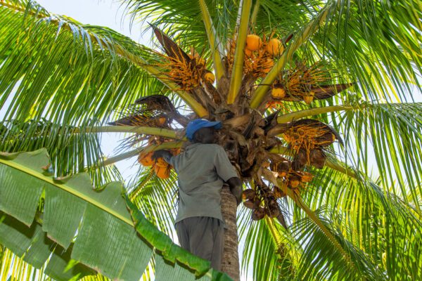 Naturkatastrophen und politische Instabilität