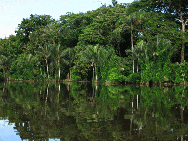 Engagement von Zivilgesellschaft und Kirche weckt Hoffnung