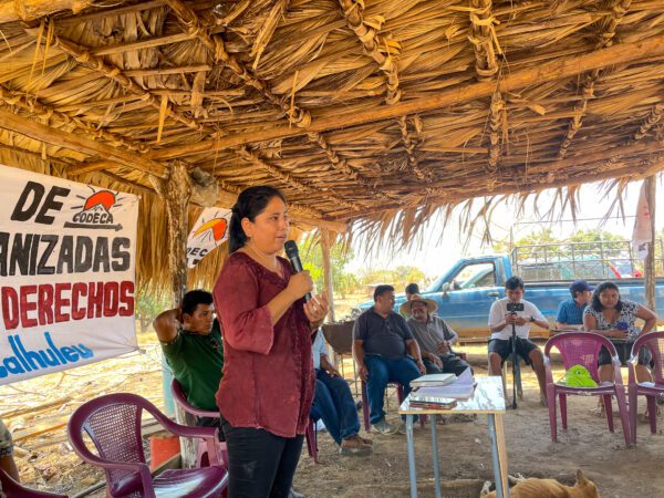 Flor del Café – erfolgreicher Kampf für Land