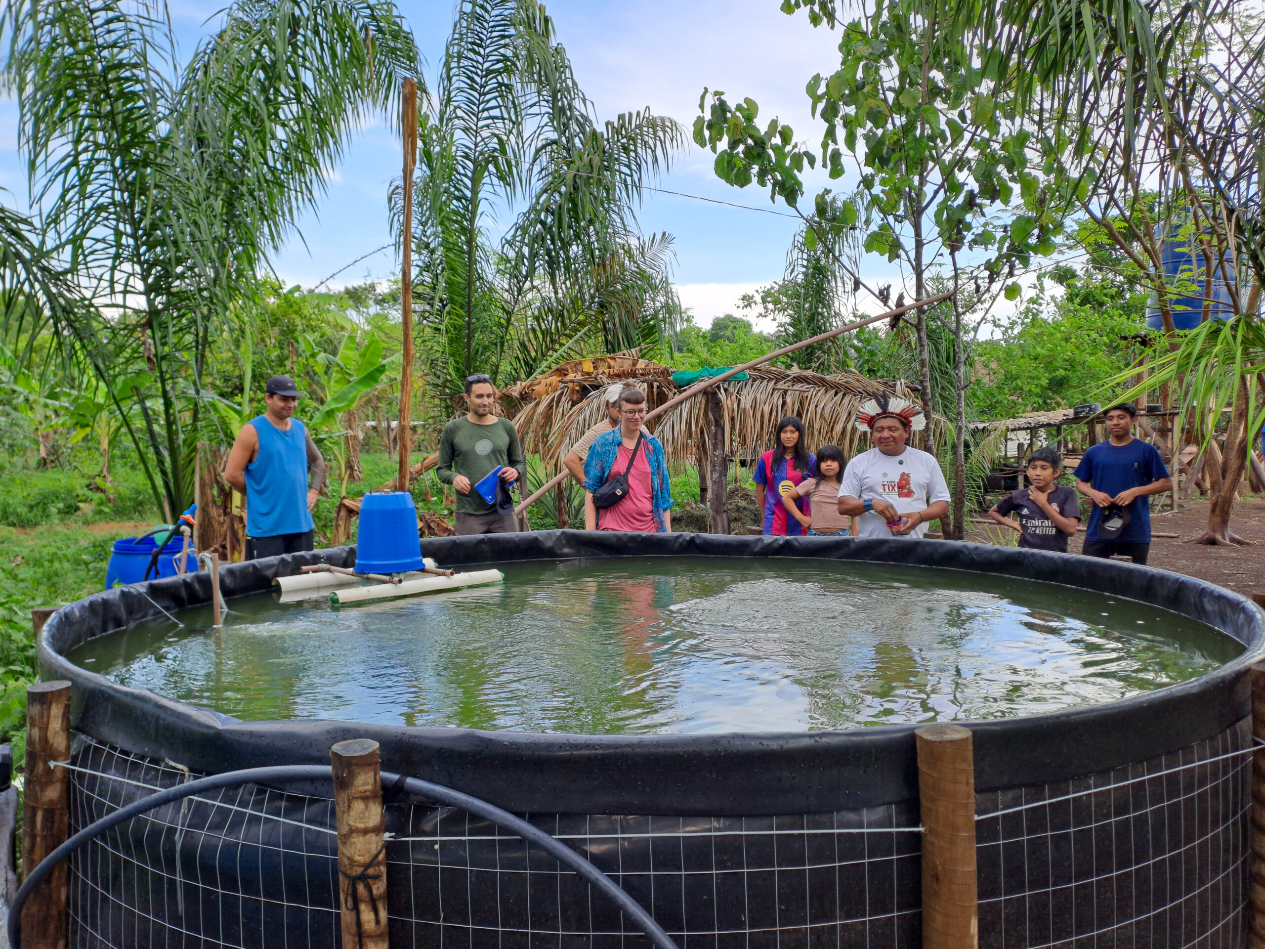 Setzlinge «verkochen» in der Erde 