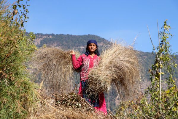 Asiatische Länder besonders betroffen
